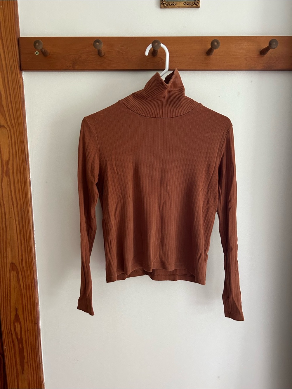 Fin & Vince Fitted Ribbed Turtleneck Sweater - Brown